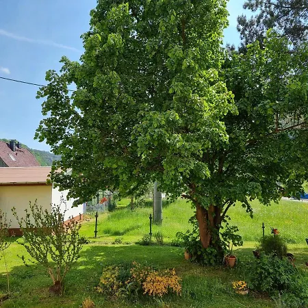 Elbaussicht - Krippen * Bad Schandau