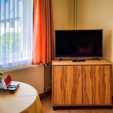 Elbaussicht - Krippen * Bad Schandau