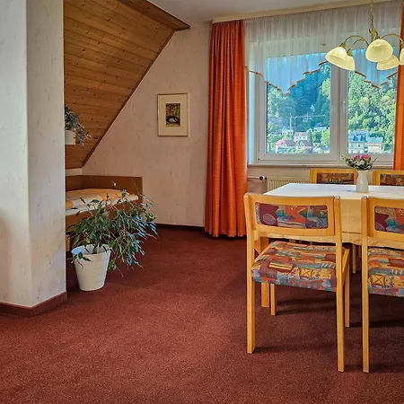 Elbaussicht - Krippen * Bad Schandau