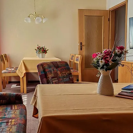 Elbaussicht - Krippen Bad Schandau