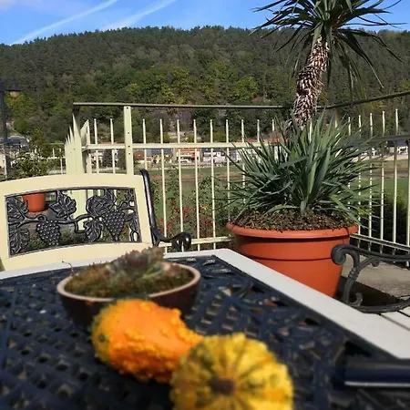 Elbaussicht - Krippen Bad Schandau