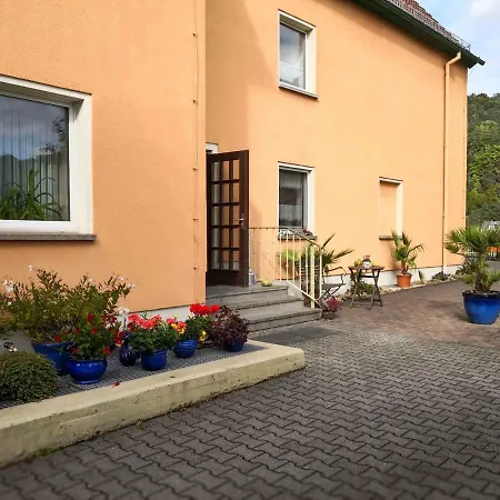 Elbaussicht - Krippen * Bad Schandau