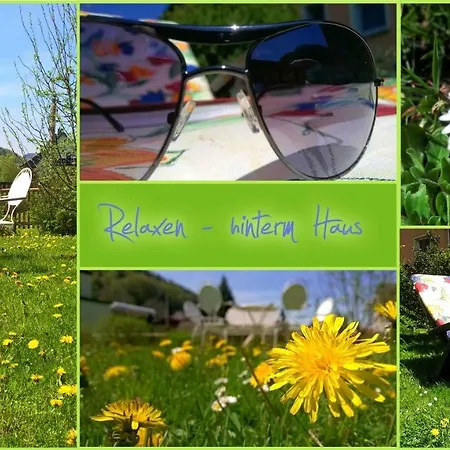 Elbaussicht - Krippen Appartamento *