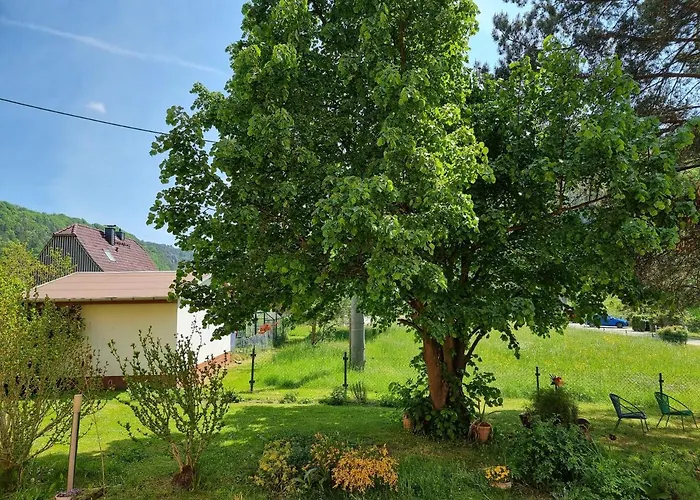 Elbaussicht - Krippen * Bad Schandau