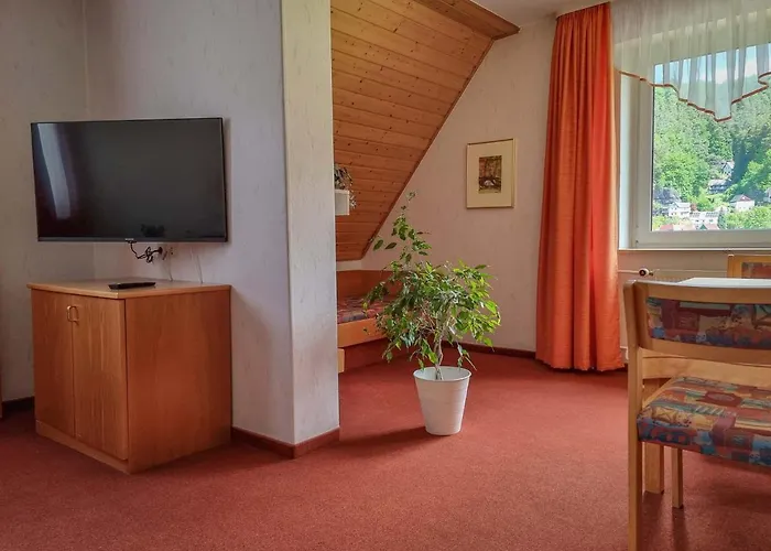 Elbaussicht - Krippen Apartment Bad Schandau