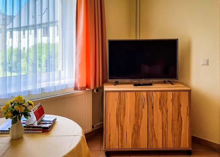 Elbaussicht - Krippen * Bad Schandau