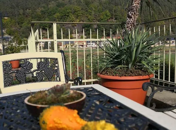 Elbaussicht - Krippen Bad Schandau