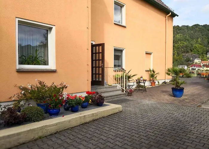 Elbaussicht - Krippen * Bad Schandau