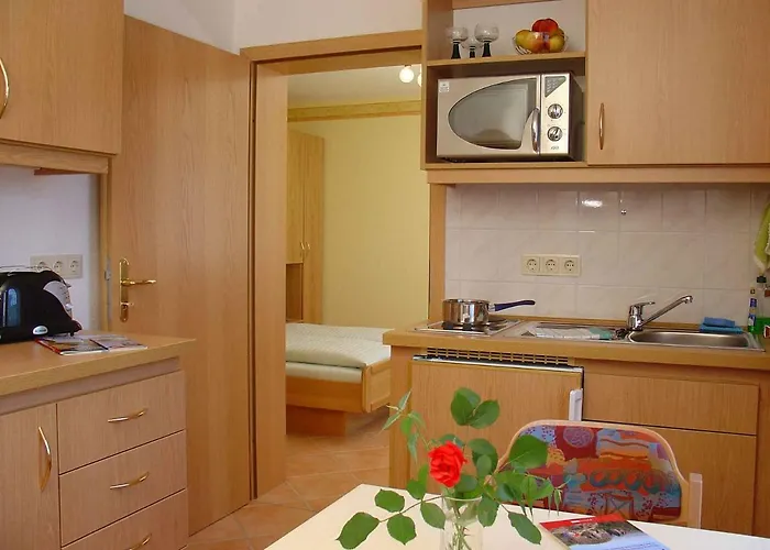 Elbaussicht - Krippen * Bad Schandau