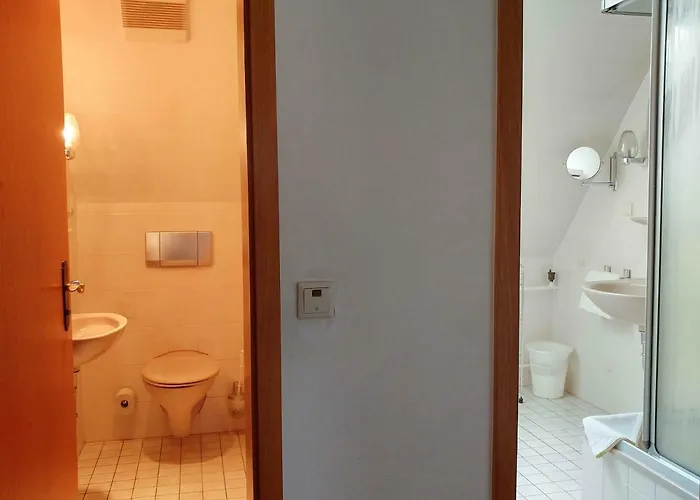 Elbaussicht - Krippen * Bad Schandau